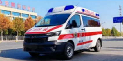Ford Transit T6 Diesel Version Ambulance (5042XJH6QT) detail view 3